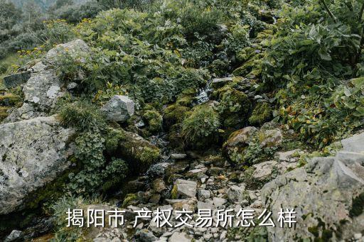廣東省產(chǎn)權(quán)交易集團(tuán)有限公司董事長,山東產(chǎn)權(quán)交易集團(tuán)有限公司張莉簡歷