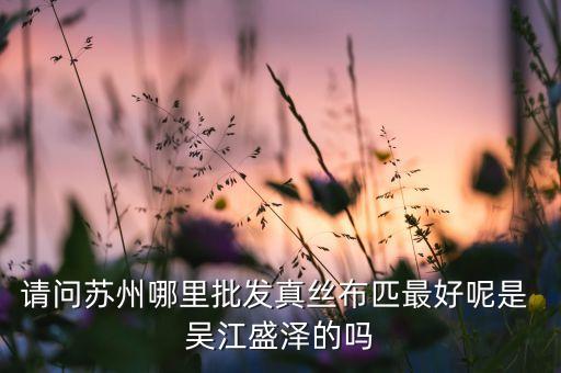 請(qǐng)問(wèn)蘇州哪里批發(fā)真絲布匹最好呢是 吳江盛澤的嗎