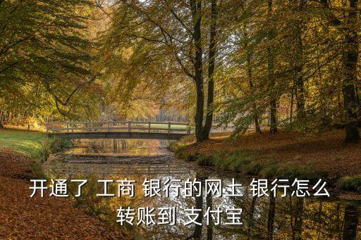 開通了 工商 銀行的網(wǎng)上 銀行怎么轉賬到 支付寶