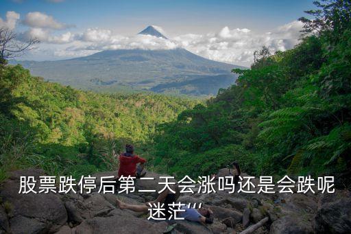  股票跌停后第二天會漲嗎還是會跌呢迷?！? class=