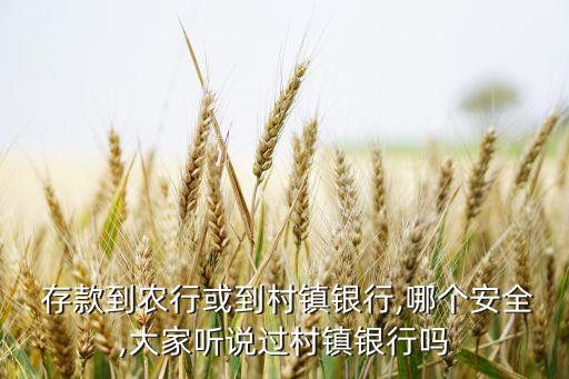  存款到農行或到村鎮(zhèn)銀行,哪個安全,大家聽說過村鎮(zhèn)銀行嗎
