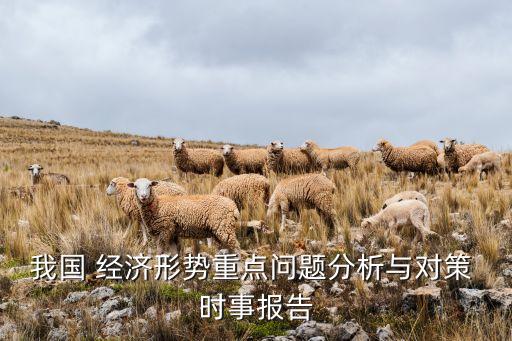 我國(guó) 經(jīng)濟(jì)形勢(shì)重點(diǎn)問題分析與對(duì)策 時(shí)事報(bào)告