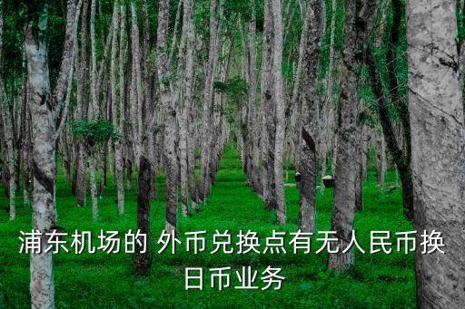 浦東機場的 外幣兌換點有無人民幣換日幣業(yè)務(wù)