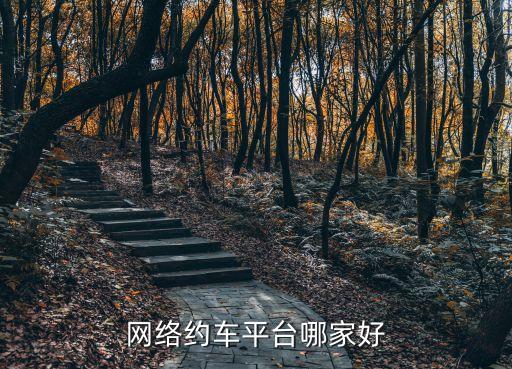 網(wǎng)絡約車平臺哪家好