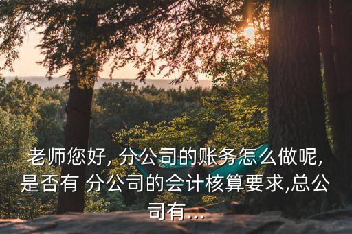 老師您好, 分公司的賬務(wù)怎么做呢,是否有 分公司的會計(jì)核算要求,總公司有...
