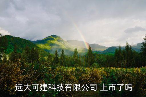  遠大可建科技有限公司 上市了嗎
