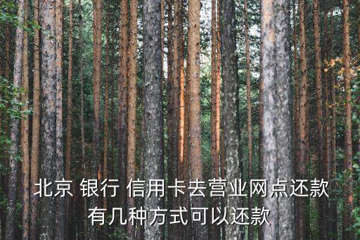  北京 銀行 信用卡去營業(yè)網(wǎng)點(diǎn)還款有幾種方式可以還款