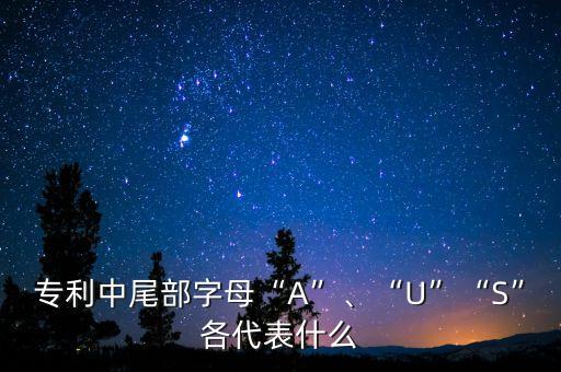 專利中尾部字母“A”、“U”“S”各代表什么