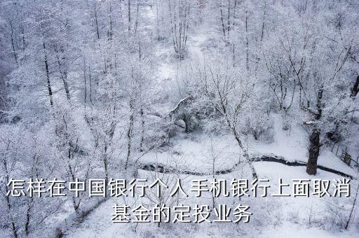 怎樣在中國銀行個人手機銀行上面取消 基金的定投業(yè)務