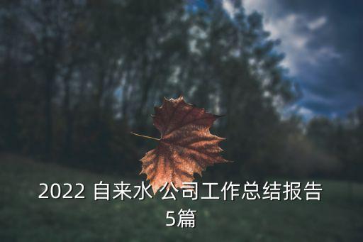 2022 自來水 公司工作總結(jié)報告5篇