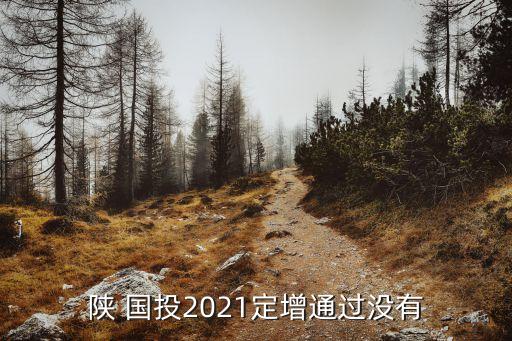 陜 國(guó)投2021定增通過(guò)沒有