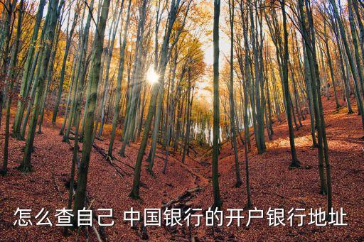 怎么查自己 中國銀行的開戶銀行地址