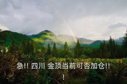 急!! 四川 金頂當(dāng)前可否加倉!!!