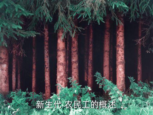新生代 農民工的概述