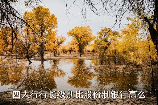 四大行行長(zhǎng)級(jí)別比股份制銀行高么
