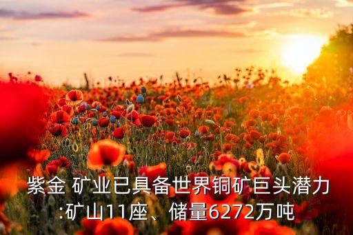  紫金 礦業(yè)已具備世界銅礦巨頭潛力:礦山11座、儲量6272萬噸