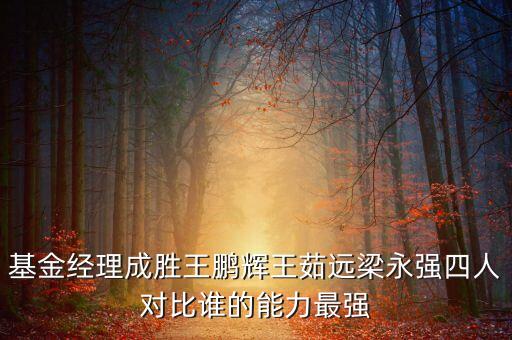 基金經(jīng)理成勝王鵬輝王茹遠(yuǎn)梁永強四人對比誰的能力最強