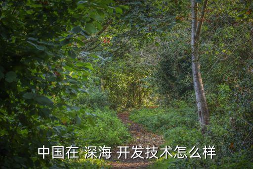 中國(guó)在 深海 開(kāi)發(fā)技術(shù)怎么樣