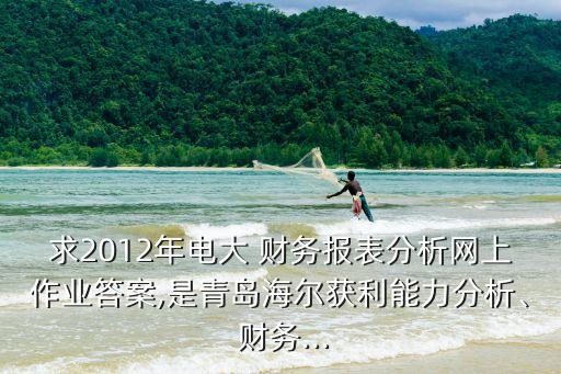 求2012年電大 財務報表分析網上作業(yè)答案,是青島海爾獲利能力分析、 財務...