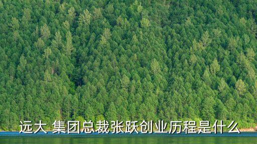  遠大 集團總裁張躍創(chuàng)業(yè)歷程是什么