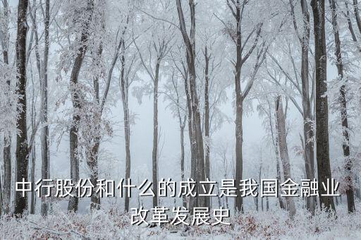 中行股份和什么的成立是我國(guó)金融業(yè) 改革發(fā)展史