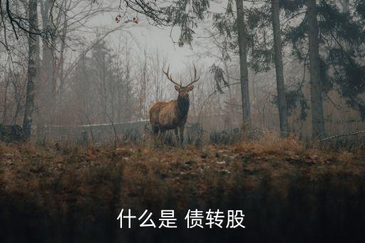 公司債轉股如何操作,新債轉股怎么操作的
