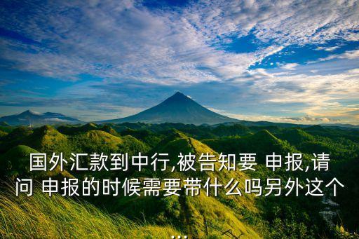 國(guó)外匯款到中行,被告知要 申報(bào),請(qǐng)問(wèn) 申報(bào)的時(shí)候需要帶什么嗎另外這個(gè)...