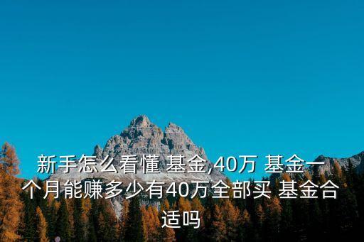 新手怎么看懂 基金,40萬(wàn) 基金一個(gè)月能賺多少有40萬(wàn)全部買 基金合適嗎