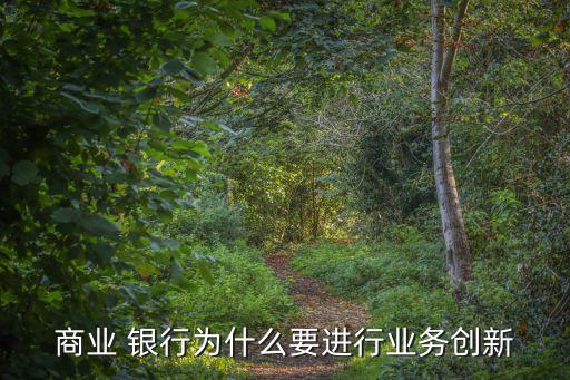 銀行發(fā)展的必要性,銀行增設網(wǎng)點的必要性