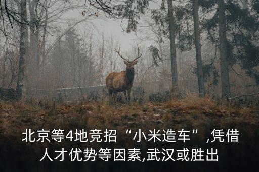 北京產業(yè)鏈