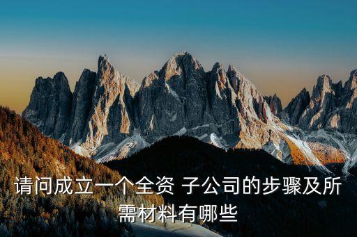請(qǐng)問(wèn)成立一個(gè)全資 子公司的步驟及所需材料有哪些