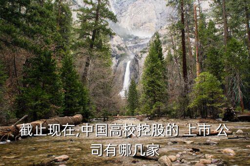 截止現(xiàn)在,中國(guó)高?？毓傻?上市 公司有哪幾家