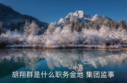 胡翔群是什么職務金地 集團監(jiān)事