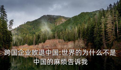 國(guó)際跨國(guó)公司有哪些稅務(wù)丑聞,跨國(guó)公司的國(guó)際營(yíng)銷組合策略有哪些?