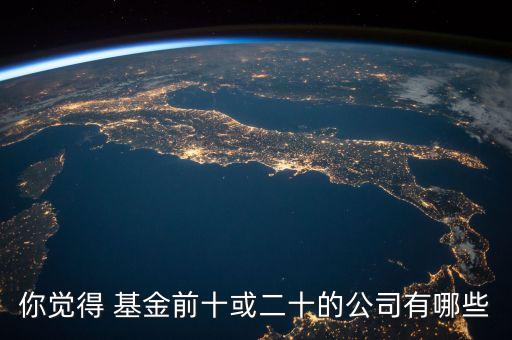 你覺(jué)得 基金前十或二十的公司有哪些
