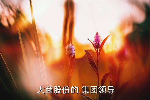  大商股份的 集團領導
