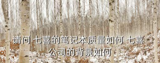 請問 七喜的筆記本質量如何 七喜 公司的背景如何