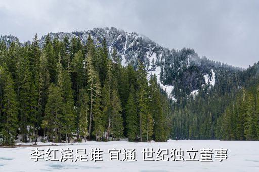 李紅濱是誰 宜通 世紀(jì)獨立董事