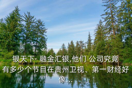 銀天下· 融金匯銀,他們 公司究竟有多少個(gè)節(jié)目在貴州衛(wèi)視、第一財(cái)經(jīng)好像...