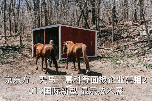 京東方、天馬、惠科等面板企業(yè)亮相2019國(guó)際新型 顯示技術(shù)展