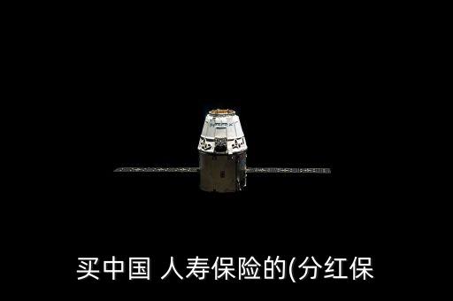 買中國 人壽保險(xiǎn)的(分紅保