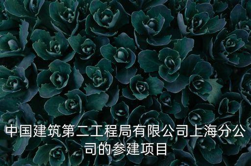 中國建筑第二工程局有限公司上海分公司的參建項目