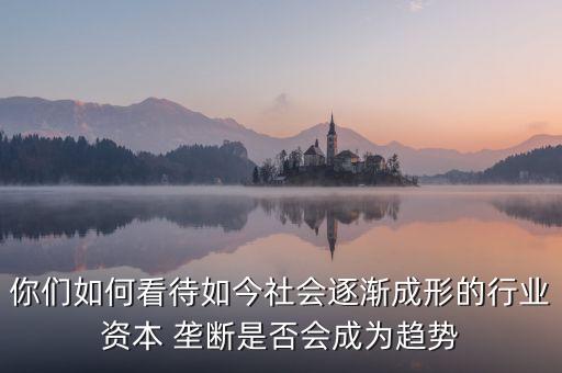 中國互聯(lián)網(wǎng)行業(yè)壟斷狀況調(diào)查及對策研究報(bào)告