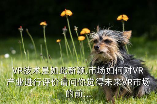 VR技術是如此新穎,市場如何對VR產(chǎn)業(yè)進行評價請問你覺得未來VR市場的前...