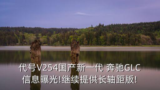 代號V254國產(chǎn)新一代 奔馳GLC信息曝光!繼續(xù)提供長軸距版!