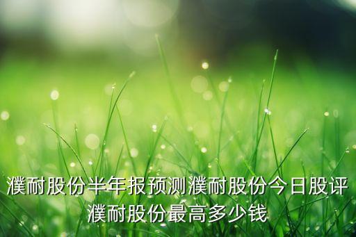 遼寧中鎂集團股票,陜西鎂業(yè)集團股票