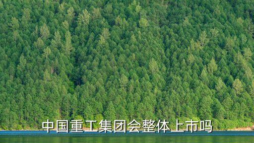 中國重工集團(tuán)會(huì)整體上市嗎