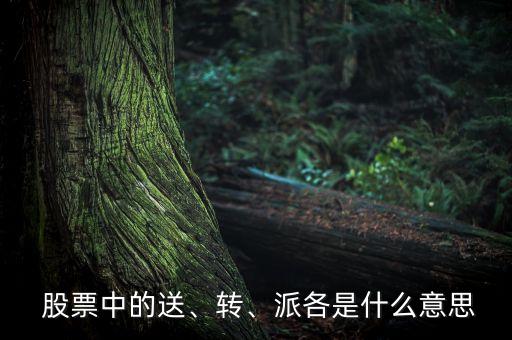  股票中的送、轉(zhuǎn)、派各是什么意思