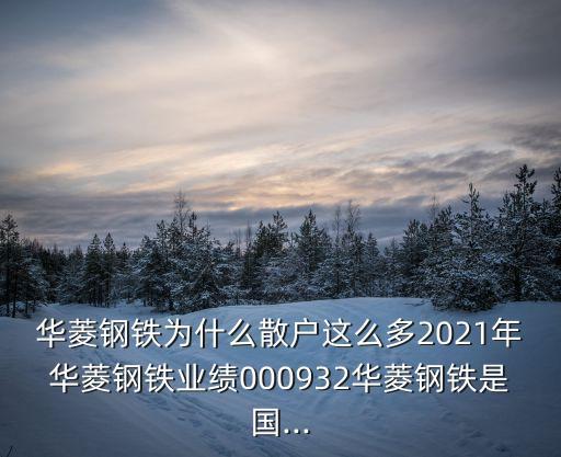 華菱衡鋼集團(tuán),衡陽華菱衡鋼集團(tuán)2023