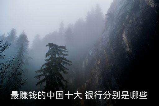 最賺錢的中國(guó)十大 銀行分別是哪些